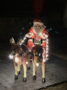 2 led Rentiere mit Schlitten und Weihnachtsmann  1