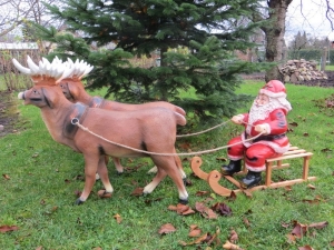 2 Rentiere und Weihnachtsmann mit Schlitten, 140 cm lang als Weihnachtsdeko draussen
