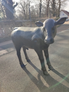 Angus Kalbfigur lebensgross, Deko Figur für drinnen und draussen 1