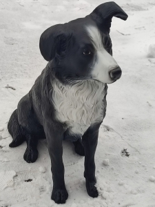 Deko Hundefigur für Garten, Border Collie sitzend, 70 cm hoch 2