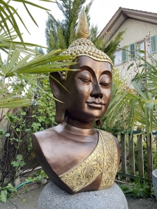 Seitliche Ansicht vom Buddha Kopf halb 48 cm