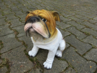 Bulldogge Figur sitzend, 28 cm hoch