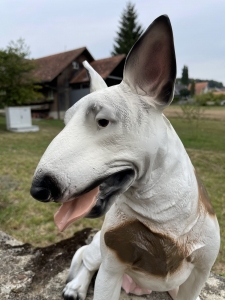 Detailaufnahme vom Kopf der Bullterier Dekofigur.