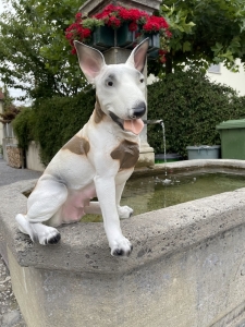 Bullterier Dekofigur weiss-beige frontal und seitlich fotografiert.