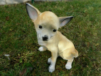 kleine Hundefigur Chihuahua sitzend, 30 cm