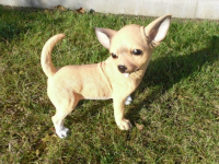 Deko Chihuahua stehend 