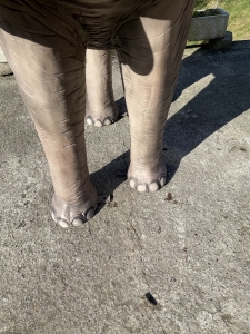 deko-elefant mit detailansicht der fuesse