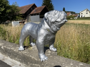 Englische Bulldogge Deko Figur lebensgross  8