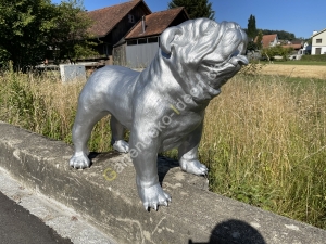 Englische Bulldogge Deko Figur lebensgross  10