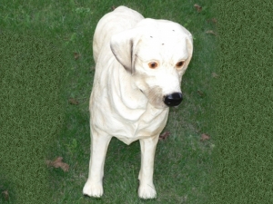 Hundefigur Labrador, 67 cm hoch, Hellcreme