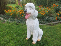 Pudel Hundefigur, weiss, 62 cm hoch