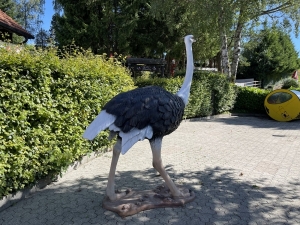 Deko Strauss Gartenfigur von links mit langem Hals und Federkleid.