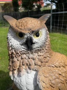 eule als gartenfigur mit detailansicht der gelben augen