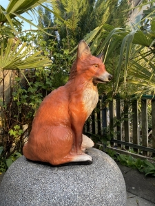 Sitzender Fuchs schraeg von hinten fotografiert.