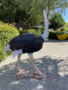 Schwarz-weisse Straussenfigur als auffaellige Gartendeko im Gesamtbild.