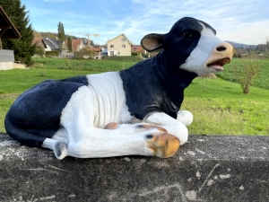 Kalbfigur lebensgross, liegend, schwarz-weiss, 91 cm lang 2