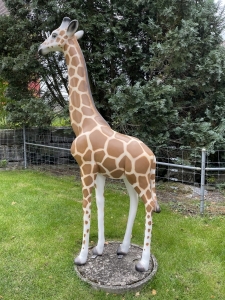 lebensgrosse giraffenfigur 210 cm als gartendeko schraeg von links
