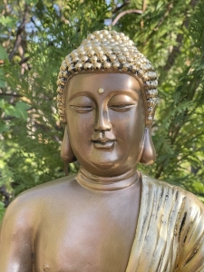 Kopfdetail der goldenen Buddha Statue