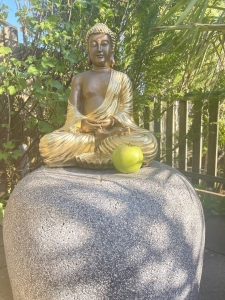 Schraegansicht der goldenen Buddha Statue