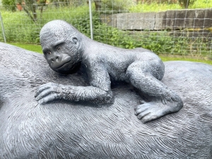 gorillababy auf dem ruecken in der detailansicht