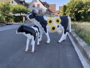 Kalb mit zwei Kuhfiguren aus schraeger Perspektive