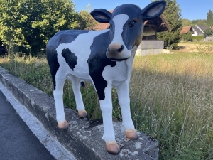Schwarz-weisse fressende Kuhfigur von vorne