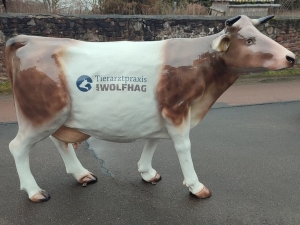 Deko Kuhfigur lebensgross mit Logo Tierarztpraxis 1