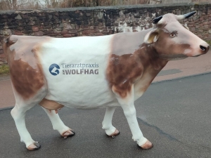 Deko Kuhfigur lebensgross mit Logo Tierarztpraxis 2