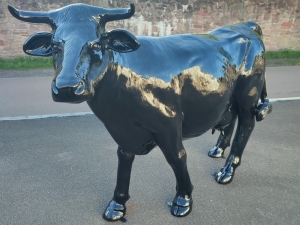 Deko Kuhfigur lebensgross Sonderanfertigung in schwarz mit Autolack 3