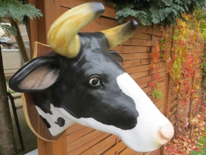 Deko Kuhkopf, Trophäe für die Wand, schwarz weiss