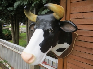 Deko Kuhkopf für die Wand, schwarz weiss 2