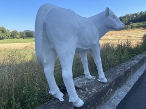 Lebensgrosse weisse Kuhfigur in der Rueckansicht.