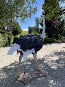 Deko Strauss lebensgross mit sichtbarer Ruecken- und Schwanzpartie.