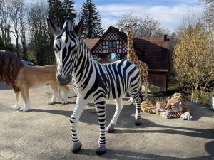 Lebensgrosses Zebra als Gartenfigur in der Gesamtansicht.