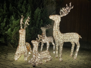 XXL LED Rentierfamilie als beleuchtetes 4er-Set in der Nachtansicht.