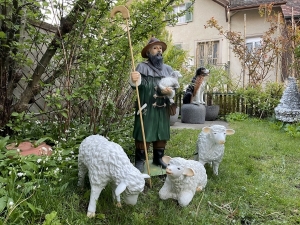 Schaefer mit Lamm und Schafen im Garten
