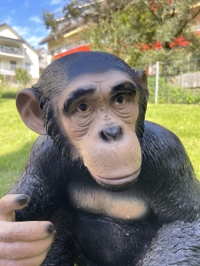 Gesichtsdetail der sitzenden Schimpansenfigur