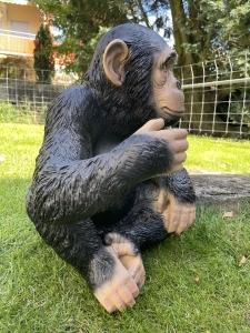 Schimpansenfigur sitzend in seitlicher Ansicht