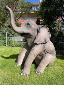 Kleiner Elefant sitzend aus der Seitenperspektive.