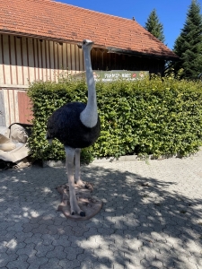 Lebensgrosser Strauss als Gartenfigur in der Frontansicht.