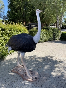 Straussenfigur fuer den Garten im klaren seitlichen Profil.