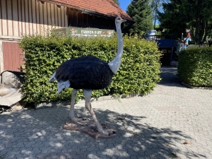 Straussenfigur lebensgross in schwarzer Seitenansicht fuer den Garten.