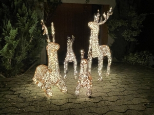 Weihnachts-Rentierfamilie mit warmweisser LED-Beleuchtung im Gesamtbild.