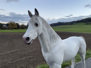 Weisses Pferd als lebensgrosse Gartenfigur mit Kopfansicht.