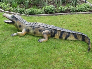 XXL Deko Krokodil für Garten und Teich, 2 Meter lang 5