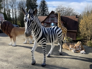 Zebra Dekofigur XXL in Ausstellung frontal seitlich fotografiert.