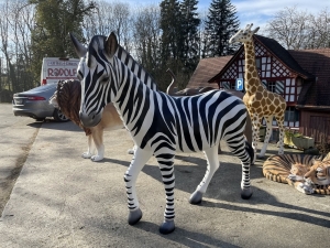 Zebrafigur XXL schraeg von vorne als Gartendeko.