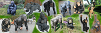 Affen Figuren Deko Affenfiguren für den Garten als Gartendeko. Gorilla, Chimpanse, Orang Utan von klein bis gross